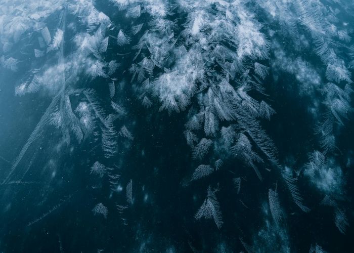 Ice patterns flowing smoothly on dark background